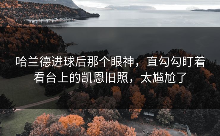 哈兰德进球后那个眼神，直勾勾盯着看台上的凯恩旧照，太尴尬了