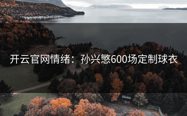 开云官网情绪：孙兴慜600场定制球衣